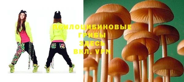 амф Алзамай